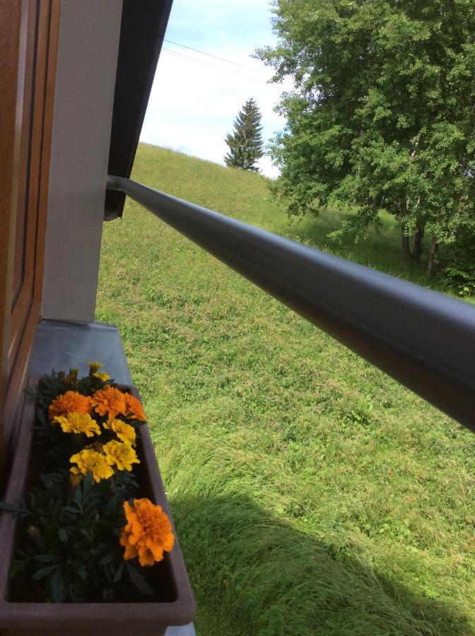 Apartman Odolov Jestrebi Hory Male Svatonovice Esterno foto