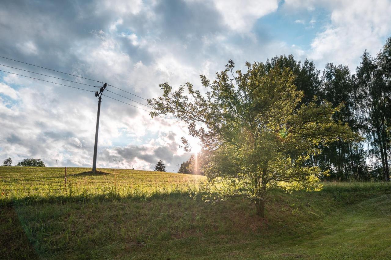 Apartman Odolov Jestrebi Hory Male Svatonovice Esterno foto